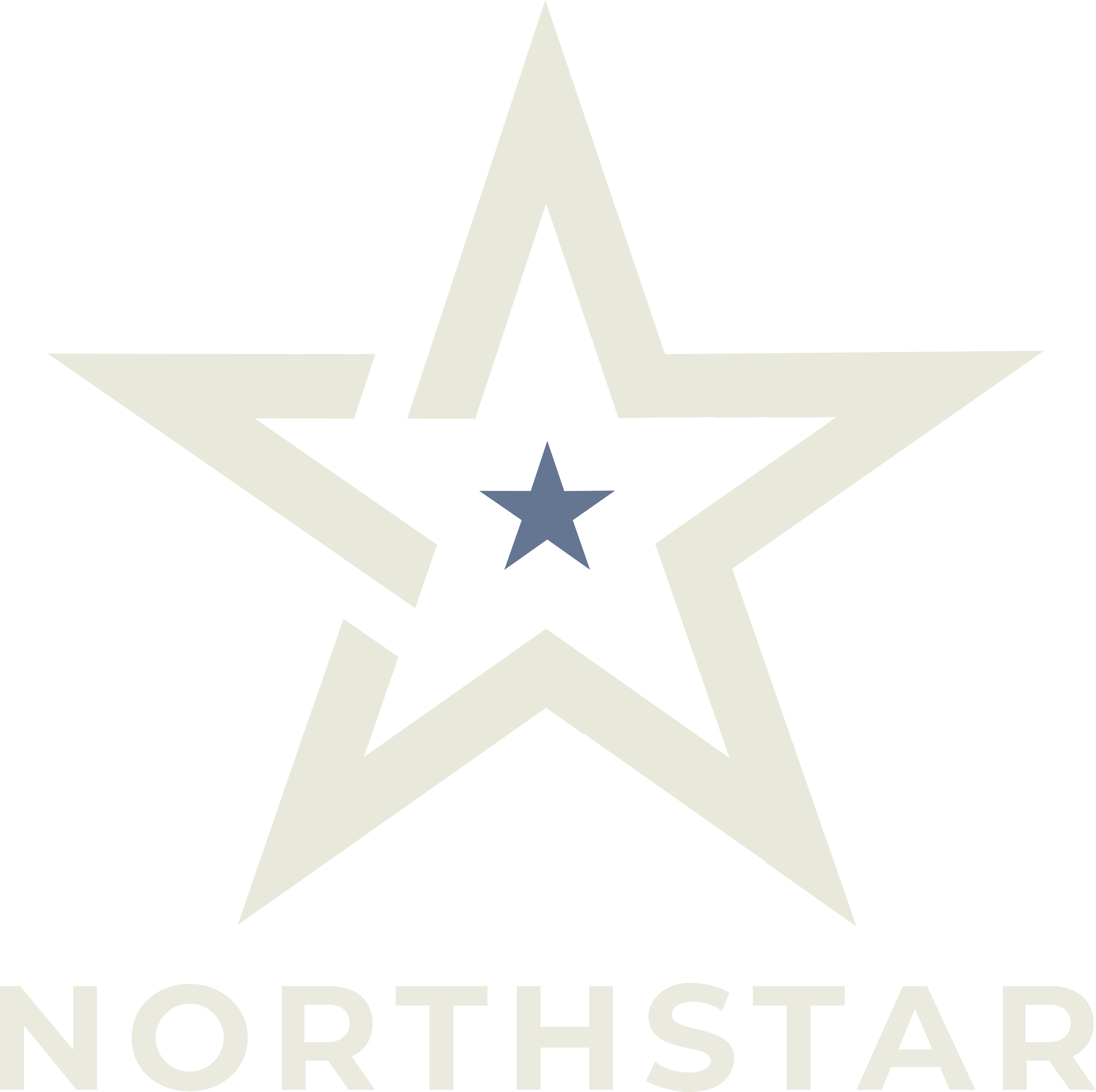 Northstar Archive logo